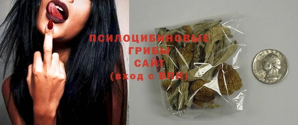 прущая мука Абаза