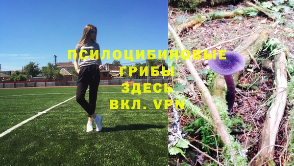 apvp Алексеевка