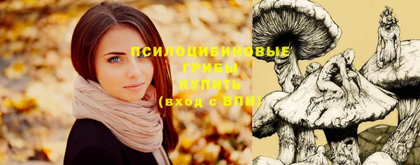 apvp Алексеевка
