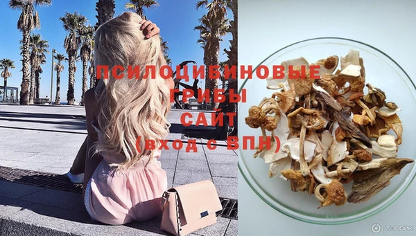 бутират Алзамай