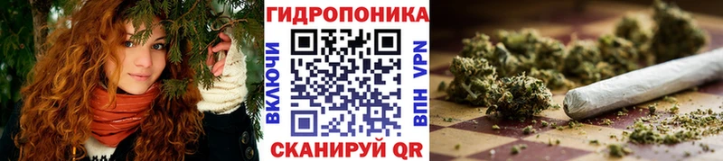 MEGA сайт  купить  сайты  Дмитров  Бошки марихуана White Widow 